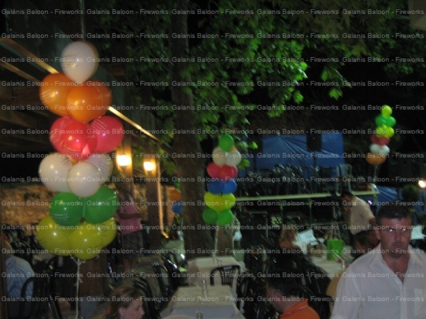  ΠΑΝΗΓΥΡΙ 5-8-2009